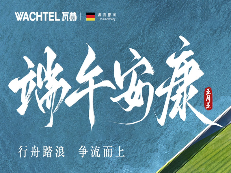 粽有千般好,唯君**粽要